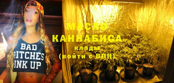 СК Новодвинск