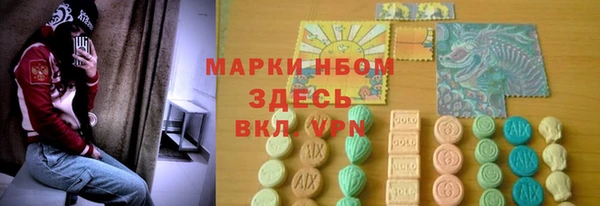 СК Новодвинск
