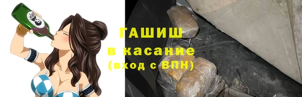 СК Новодвинск
