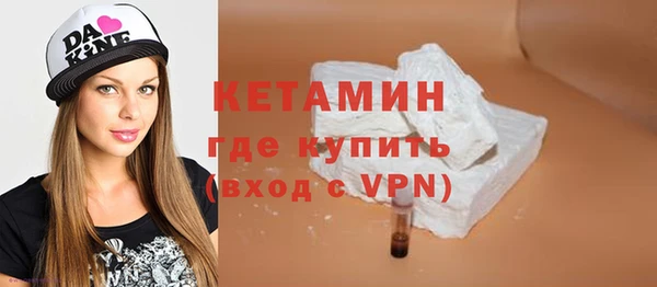 СК Новодвинск