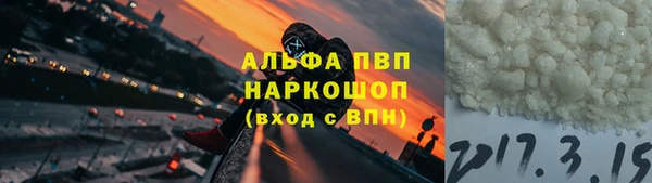 СК Новодвинск