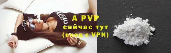 Альфа ПВП Няндома