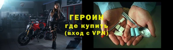 СК Новодвинск