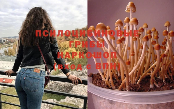 MDMA Алагир