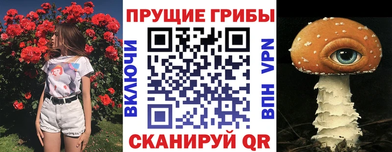 даркнет сайт Нальчик Псилоцибиновые грибы Psilocybine cubensis