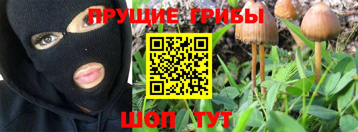 Галлюциногенные грибы мухоморы Нальчик