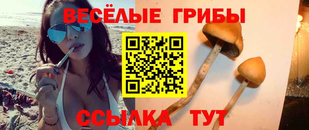 Нальчик  Псилоцибиновые грибы MAGIC MUSHROOMS  Псилоцибиновые грибы прущие грибы  Вход с VPN 